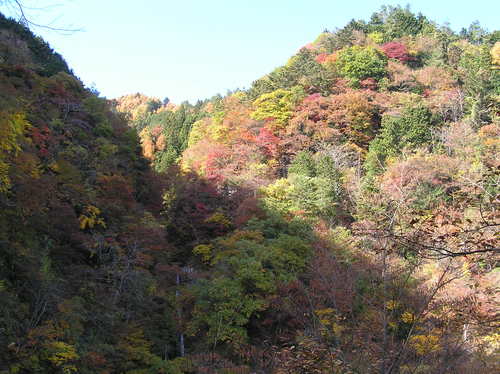 20051119_oyanagawatrip_015
